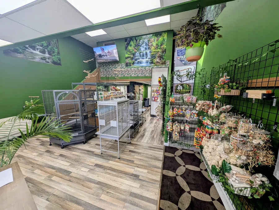 Bird cages and a wall of colorful toys inside the store