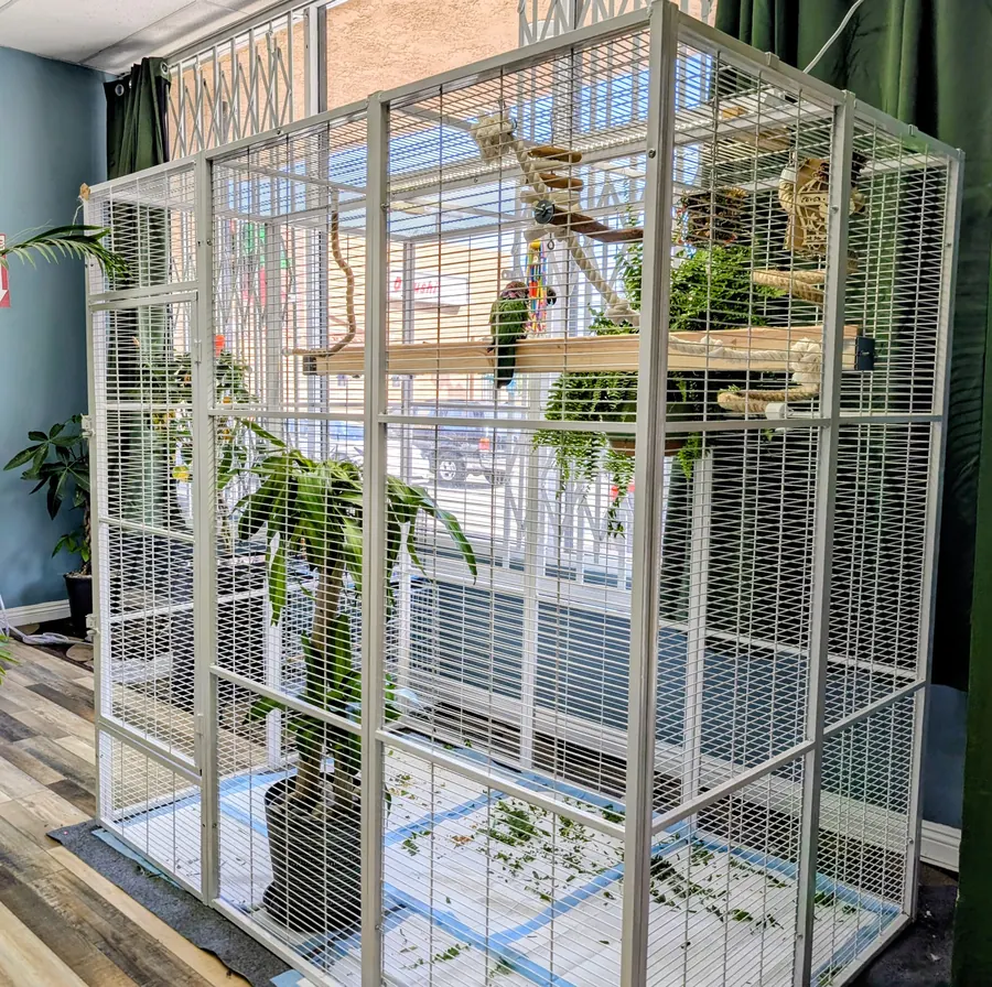 Large white indoor parrot enclosure with natural branches and greenery