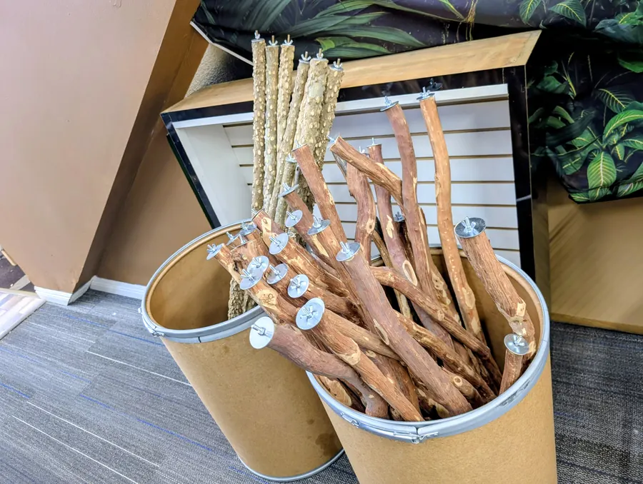 Natural wood bird perches organized in display bins