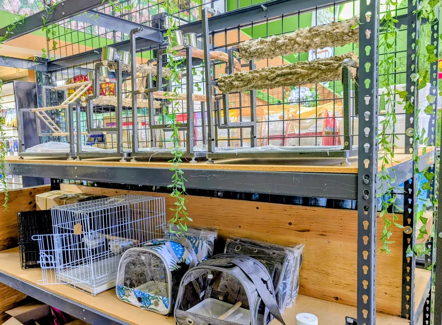 Tabletop bird perch stands displayed above travel carriers