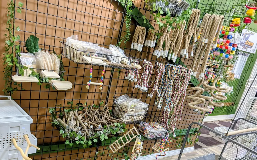 Wall display with rope perches, swings, and bird accessories